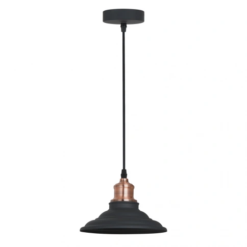 Подвесной светильник Arte Lamp LIDO A5067SP-1BK фото 1