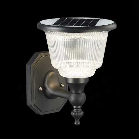 SL9502.401.01 Светильник уличный настенный ST-Luce Черный/Черный, Прозрачный LED 1*2W 3000-6000K фото 1