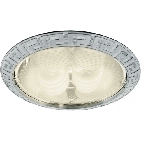 Точечный встраиваемый светильник Arte Lamp DOWNLIGHTS A8015PL-2SS фото 1