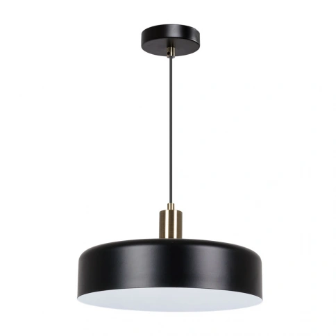 Подвесной светильник Arte Lamp SKAT A7152SP-1BK фото 1