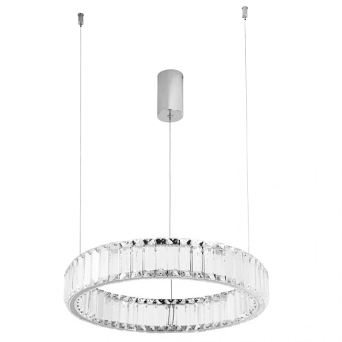 Подвесная люстра Divinare RENATA 1135/02 SP-24 фото 1