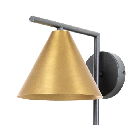 Бра Arte Lamp DAVID A7033AP-1BK фото 1