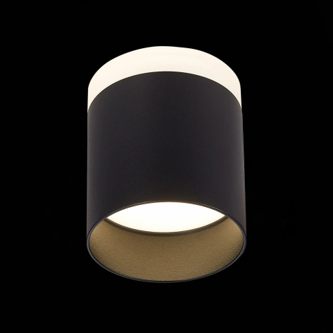 ST102.442.12 Светильник потолочный Черный LED 1*12W 4000K 936Lm Ra>80 120° IP20 D100xH90 170-240V фото 1