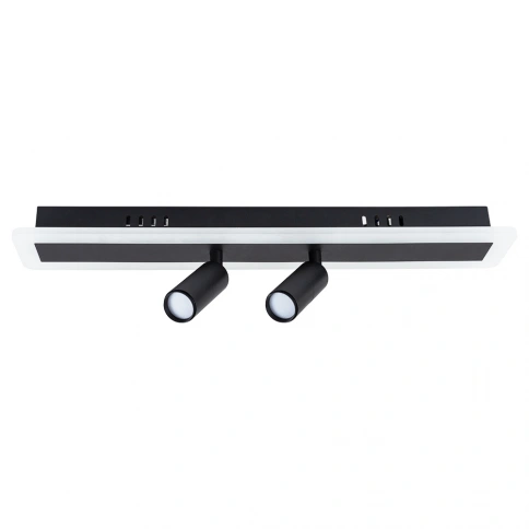 Спот Arte Lamp TOMMY A2607PL-22BK фото 1