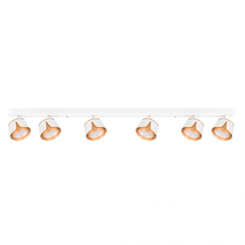 Спот Arte Lamp AMAKS A8028PL-6WH фото 1
