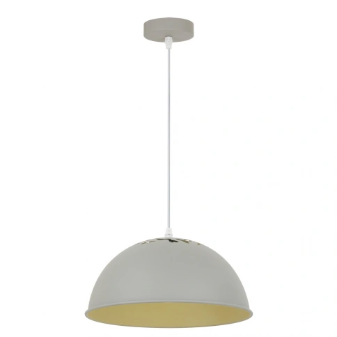 Подвесной светильник Arte Lamp BURATTO A8173SP-1GY фото 1