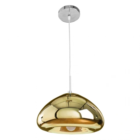 Подвесной светильник Arte Lamp SWIFT A8041SP-1GO фото 1