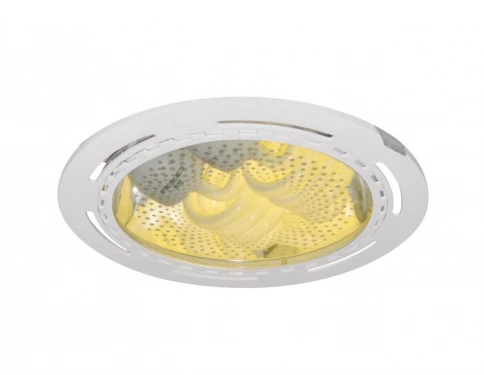 Точечный встраиваемый светильник Arte Lamp DOWNLIGHTS A8075PL-2WH фото 1