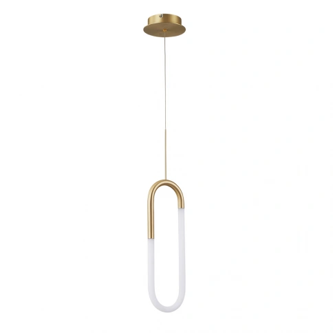 Подвесной светильник Arte lamp LUMINO A2233SP-20GO фото 1