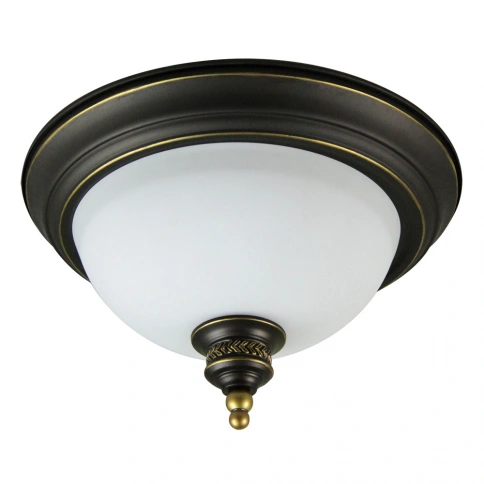 Потолочный светильник Arte Lamp BONITO A9518PL-2BA фото 1