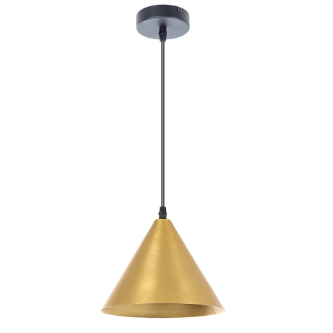 Подвесной светильник Arte Lamp DAVID A7033SP-1BK фото 1