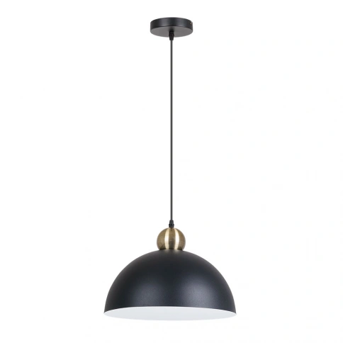 Подвесной светильник Arte Lamp RECINTO A7053SP-1BK фото 1