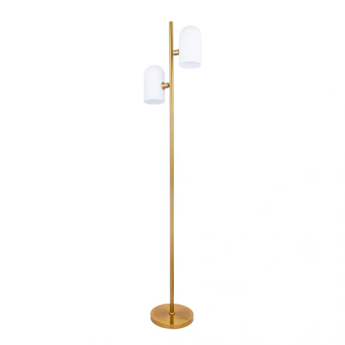 Торшер Arte Lamp CASSEL A5454PN-2PB фото 1
