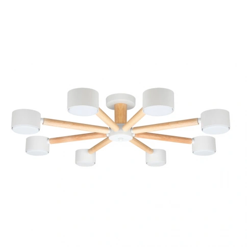 Потолочная люстра Arte Lamp TENDA A1624PL-8WH фото 1