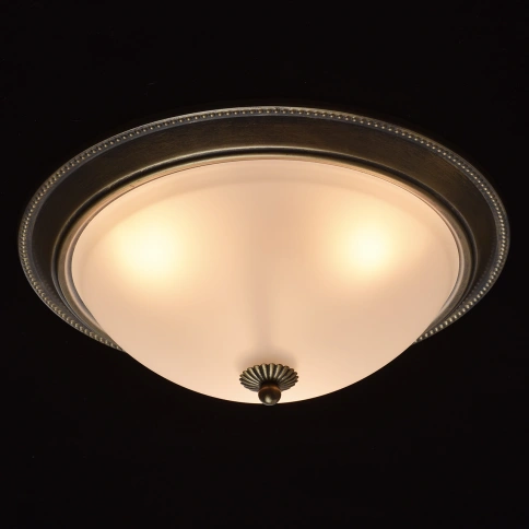 Потолочный светильник MW-Light Ариадна 450015503 фото 2