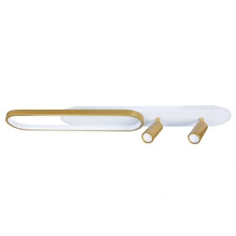 Потолочный светильник Arte Lamp LUCAS A2600PL-32GO фото 1
