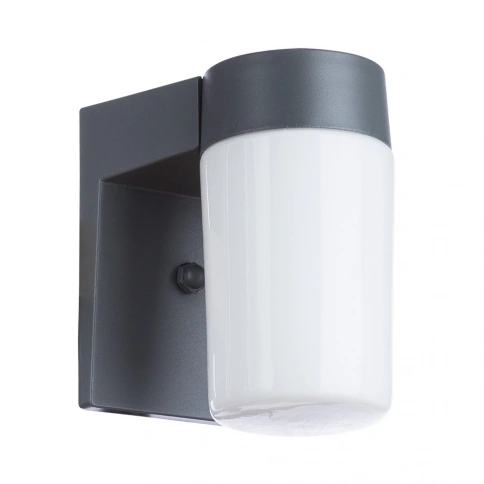 Уличный настенный светильник Arte Lamp CITY A8058AL-1GY фото 1