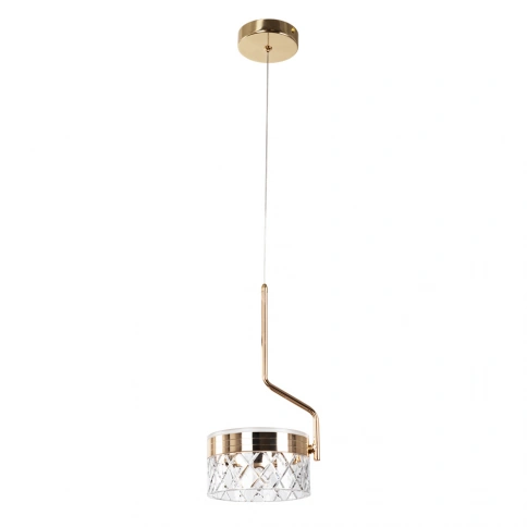 Подвесной светильник Arte Lamp MOSAIC A2094SP-1GO фото 1