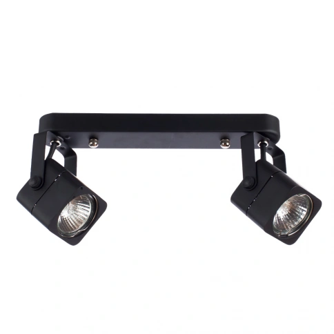 Спот Arte Lamp LENTE A1314PL-2BK фото 1