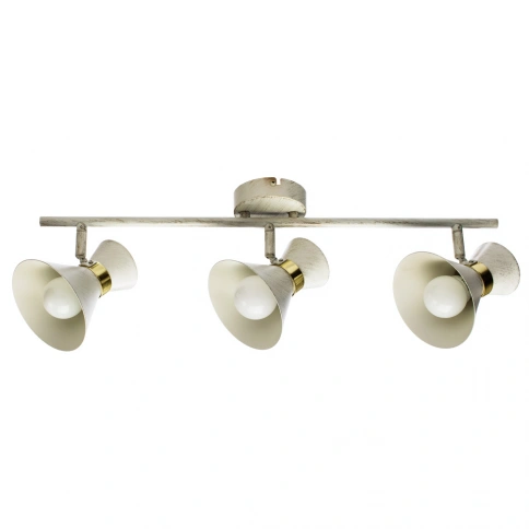 Спот Arte Lamp BALTIMORE A1406PL-3WG фото 1