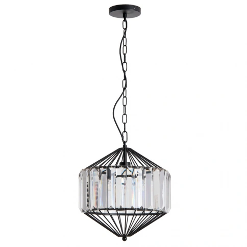 Подвесной светильник Arte Lamp CASSEL A1790SP-1BK фото 1