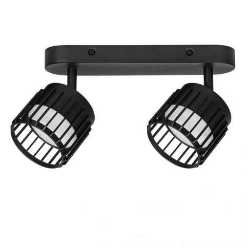 Спот Arte Lamp ATRIA A8031PL-2BK фото 1