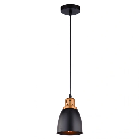 Подвесной светильник Arte Lamp EURICA A4248SP-1BK фото 1