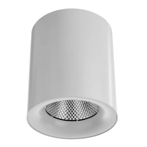 Точечный накладной светильник Arte Lamp FACILE A5130PL-1WH фото 1
