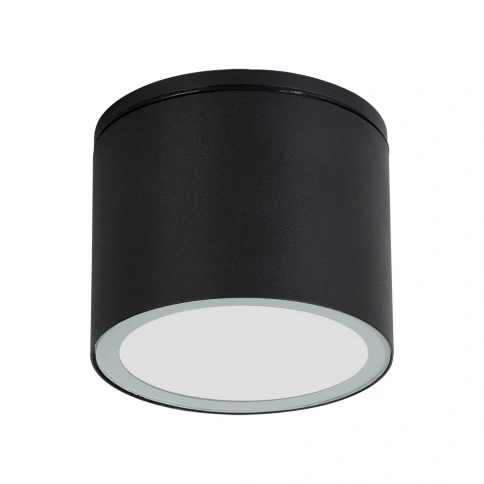 Уличный потолочный светильник Arte Lamp PIAUTOS A1913PF-1BK фото 1