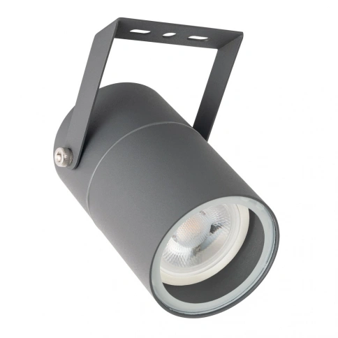 Прожектор Arte Lamp MISTERO A3303AL-1GY фото 1