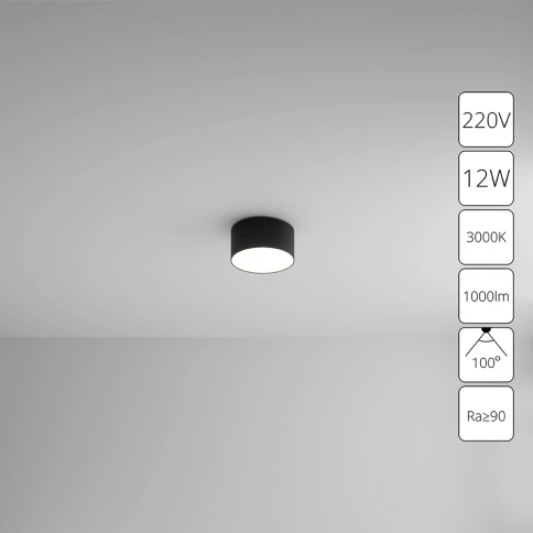 Потолочный светильник Arte Lamp FADO A7312PL-1BK фото 1