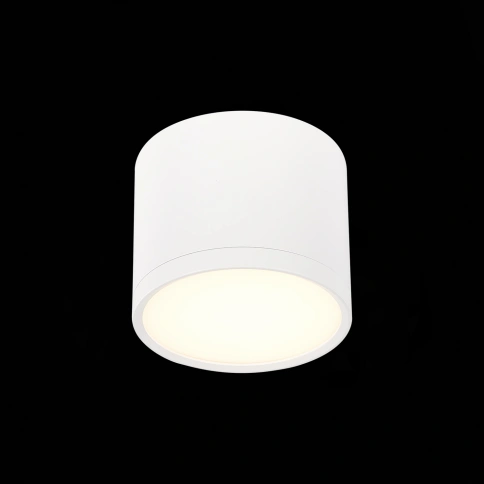 ST113.532.09 Светильник потолочный Белый LED 1*9W 3000K 702Lm Ra>90 120° IP20 D88xH75 170-240V фото 1