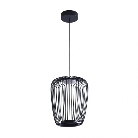 Подвесной светильник Arte Lamp FLARE A3528SP-12BK фото 1