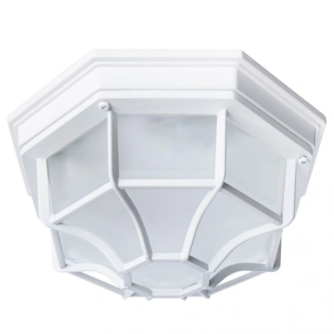 Уличный потолочный светильник Arte Lamp PEGASUS A3100PL-1WH фото 1