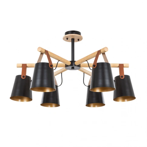 Потолочная люстра Arte Lamp THOMAS A7032PL-6BK фото 1