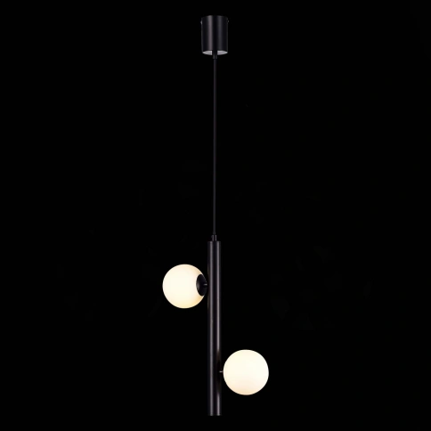 SL1185.403.02 Подвес ST-Luce Черный/Белый G9 LED 2*5W фото 1