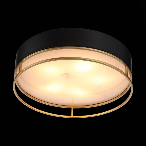 SL1127.432.05 Светильник потолочный ST-Luce Черный, Матовое золото/Белый E27 5*40W фото 1