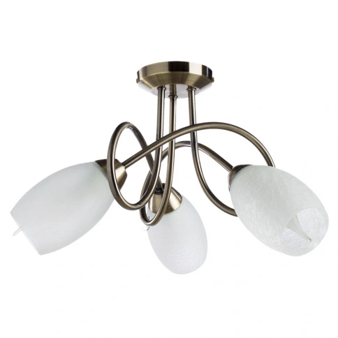 Потолочная люстра Arte Lamp MUTTI A8616PL-3AB фото 1