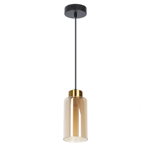 Подвесной светильник Arte Lamp LEO A7027SP-1BK фото 1