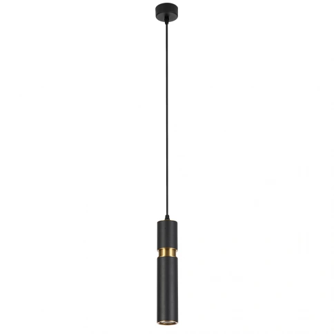 Точечный подвесной светильник ARTE LAMP RAN A3145SP-1BK фото 1