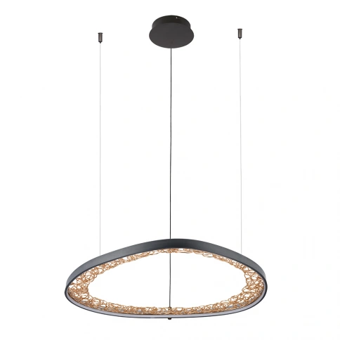 Подвесная люстра Arte Lamp CINTA A1847SP-46BK фото 1