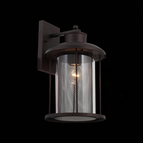SL080.401.01 Светильник уличный настенный ST-Luce Темный кофе/Прозрачный, Темный кофе E27 1*60W фото 1