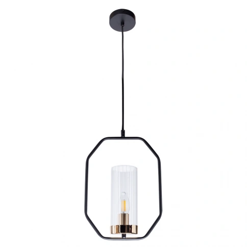 Подвесной светильник Arte Lamp CELAENO A7004SP-1BK фото 1