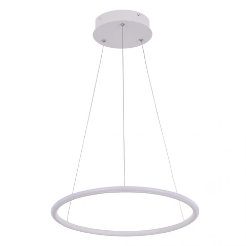 Подвесная люстра Arte Lamp RAPID A2500SP-1WH фото 1