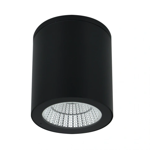 Уличный потолочный светильник Arte Lamp TORCULAR A1813PF-1BK фото 1