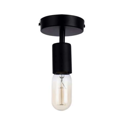 Потолочный светильник Arte Lamp FUORI A9184PL-1BK фото 1