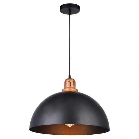 Подвесной светильник Arte Lamp EURICA A4249SP-1BK фото 1