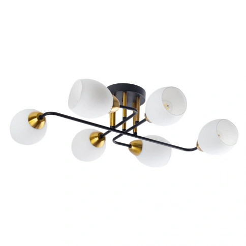 Потолочная люстра Arte Lamp ANDREA A8141PL-6BK фото 1