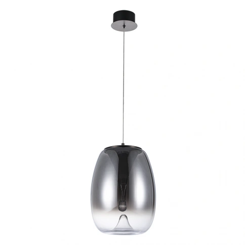 Подвесной светильник Divinare CAMPO 5874/51 SP-15 фото 1