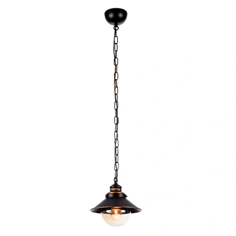 Подвесной светильник Arte Lamp GRAZIOSO A4577SP-1CK фото 1